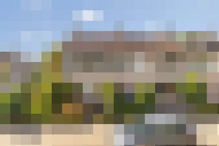 Groene Woud 22 Breda thumbnail 8