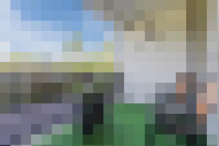 Groene Woud 23 Breda thumbnail 31