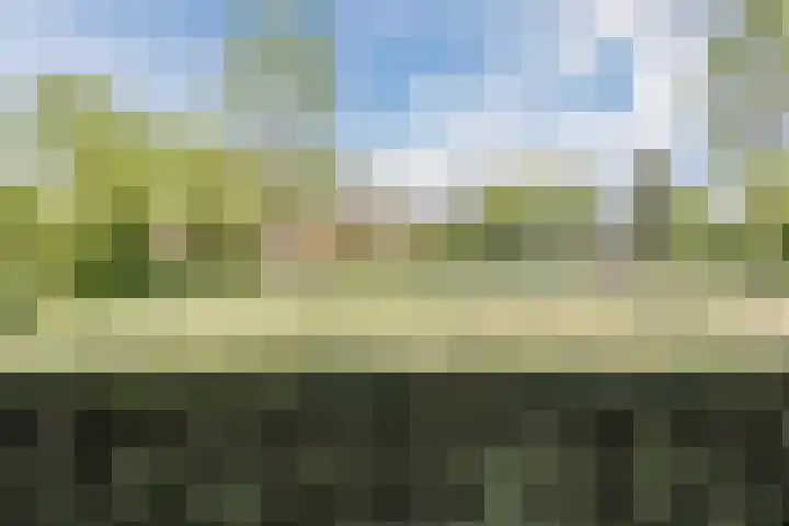 Groene Woud 23 Breda thumbnail 32