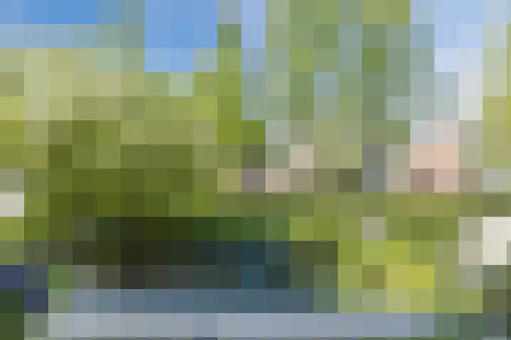 Groene Woud 23 Breda thumbnail 33