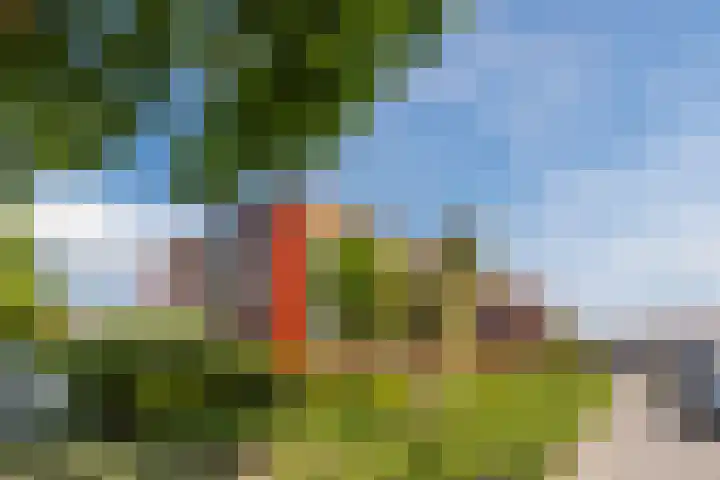 Groene Woud 23 Breda thumbnail 37