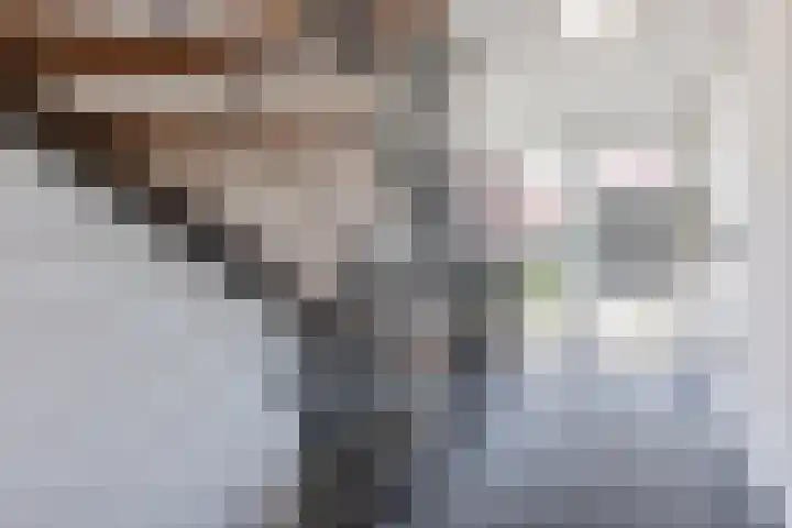 Groene Woud 23 Breda thumbnail 4