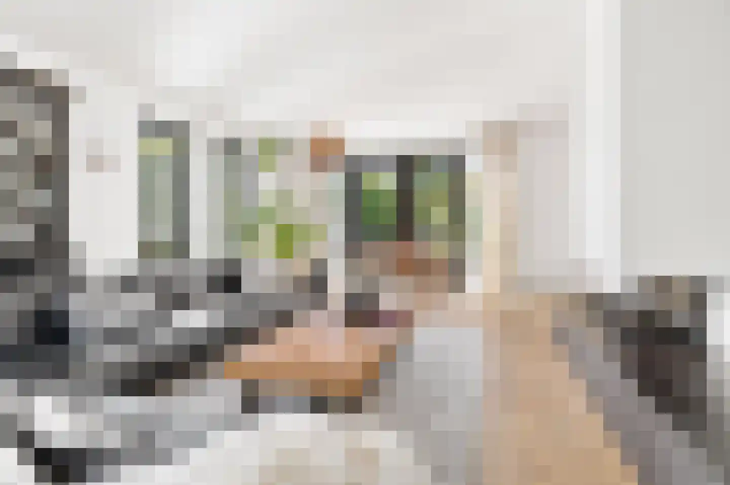 Groene-Woud 3 Sint-Oedenrode thumbnail 11