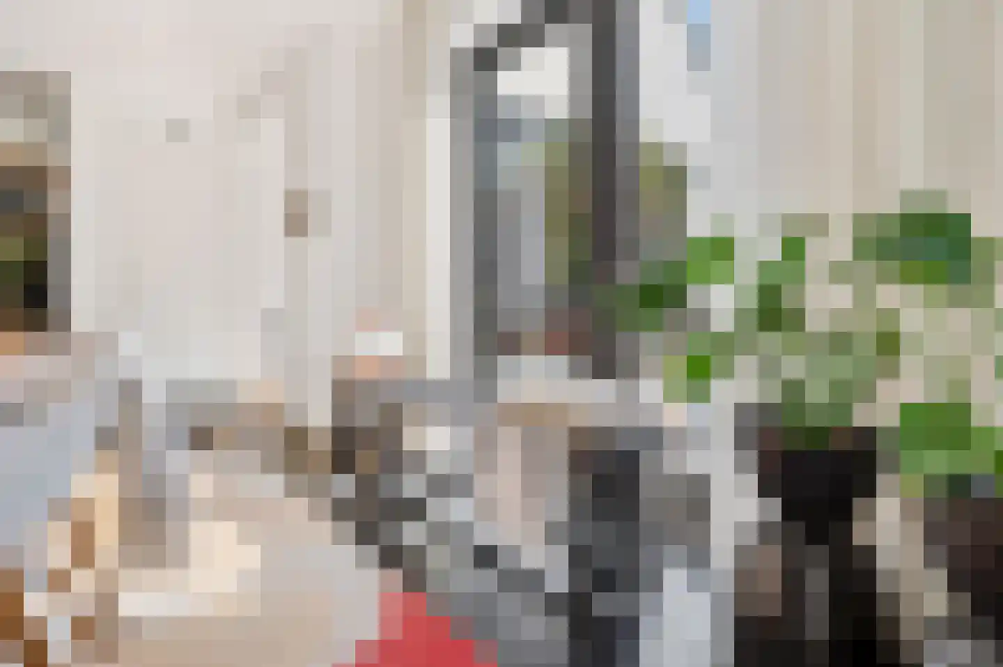 Groene-Woud 3 Sint-Oedenrode thumbnail 14
