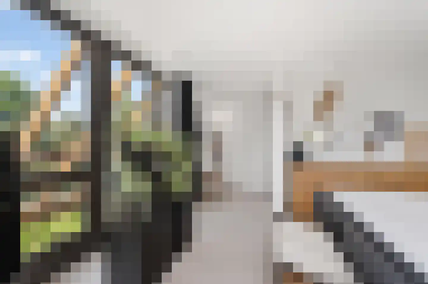 Groene-Woud 3 Sint-Oedenrode thumbnail 32