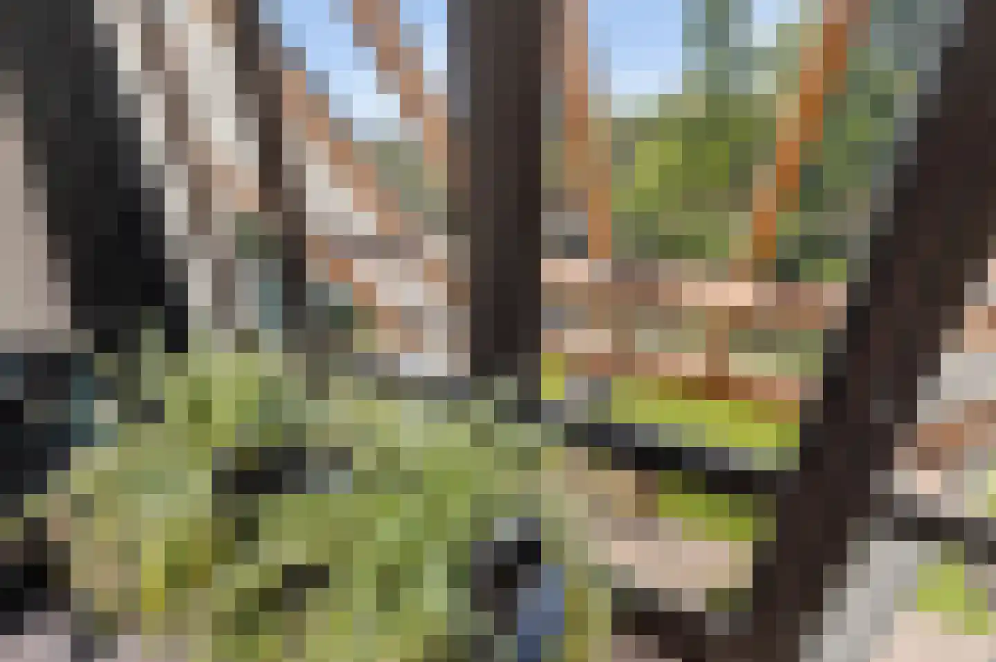 Groene-Woud 3 Sint-Oedenrode thumbnail 33