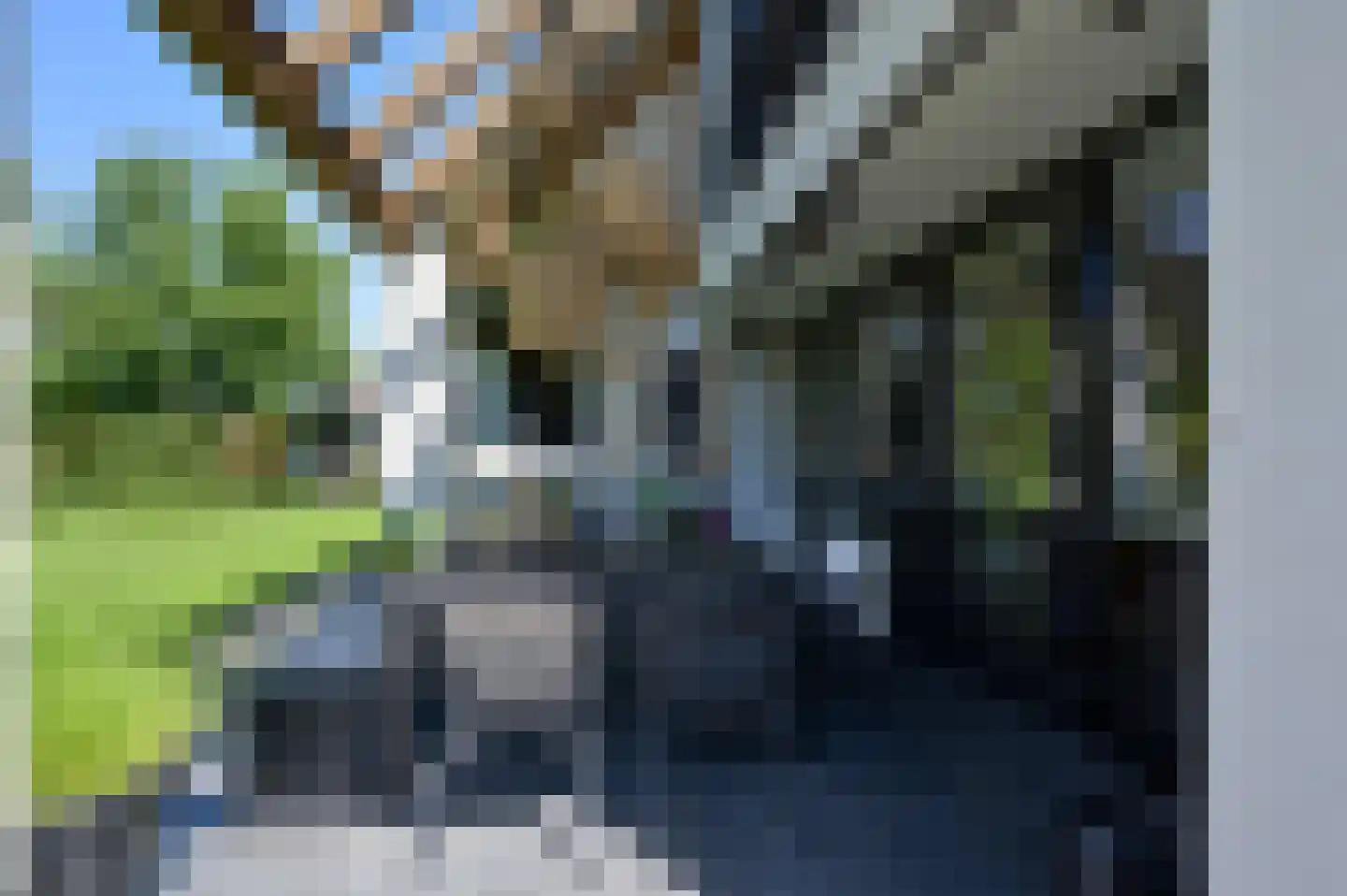 Groene-Woud 3 Sint-Oedenrode thumbnail 52