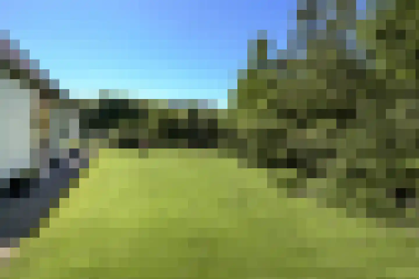 Groene-Woud 3 Sint-Oedenrode thumbnail 62