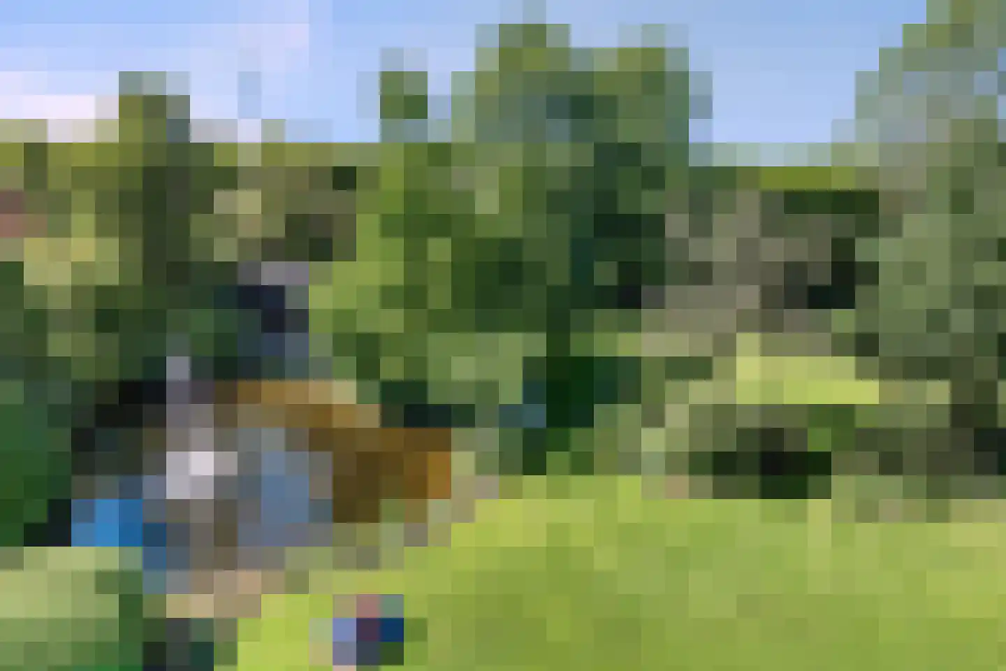 Groene-Woud 3 Sint-Oedenrode thumbnail 63