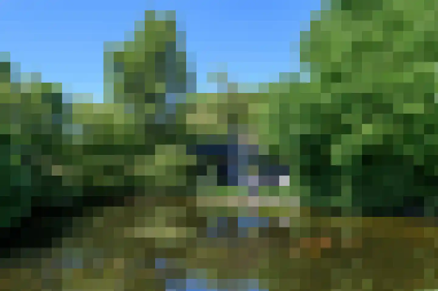 Groene-Woud 3 Sint-Oedenrode thumbnail 64