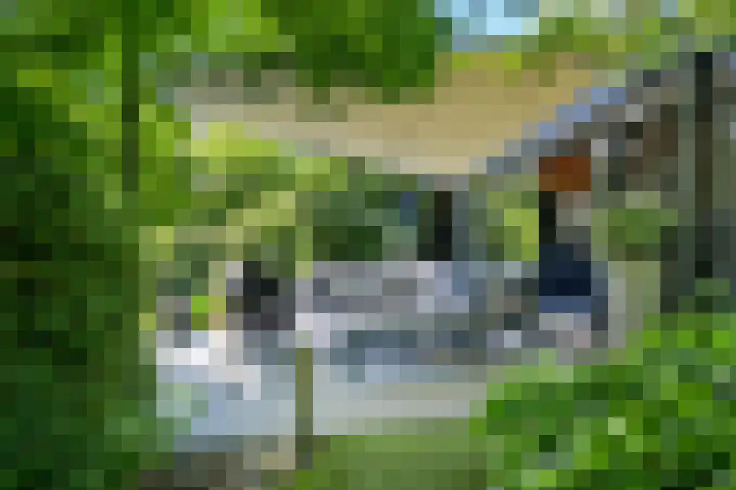 Groene-Woud 3 Sint-Oedenrode thumbnail 65