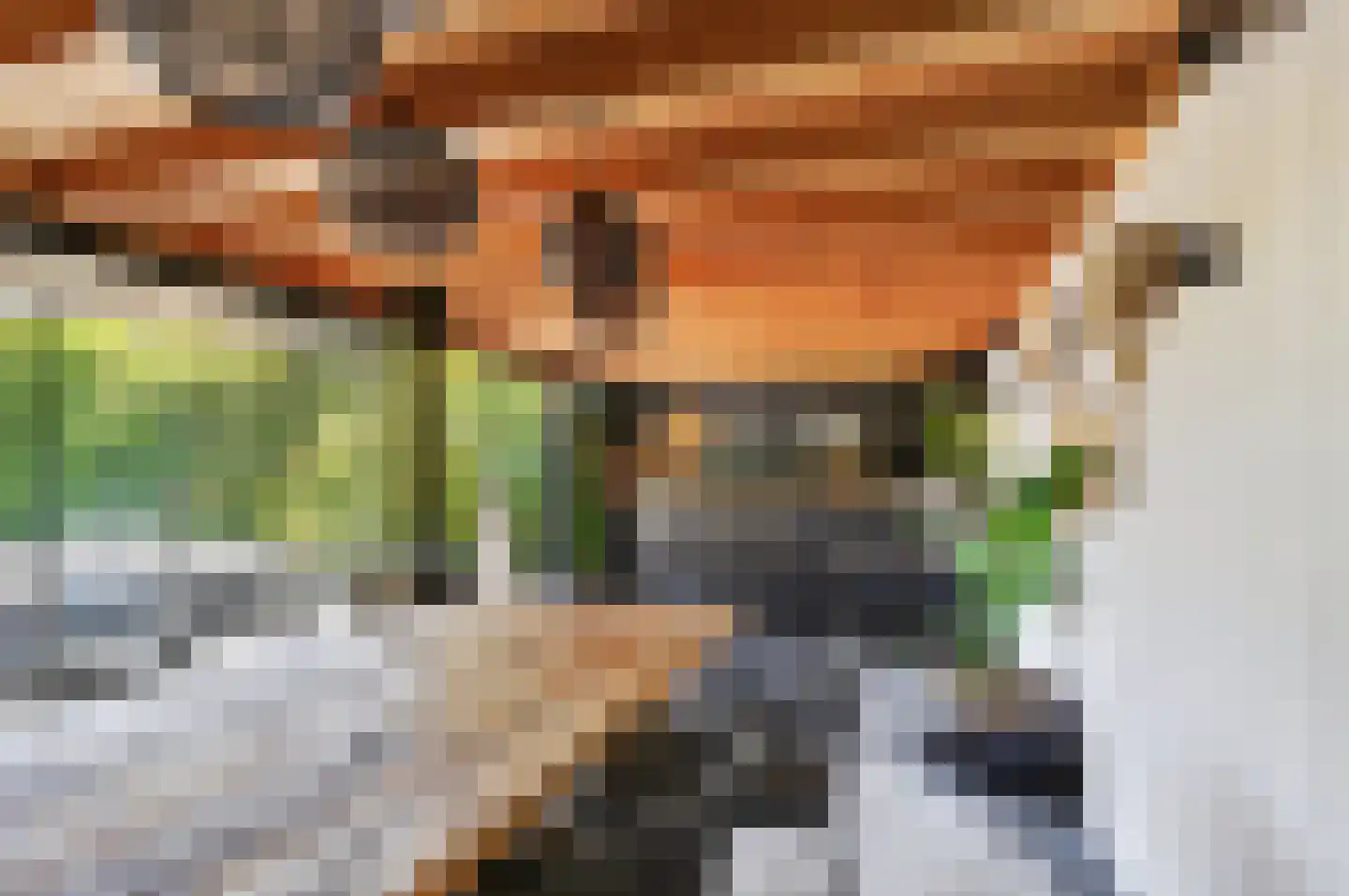 Groene-Woud 3 Sint-Oedenrode thumbnail 67
