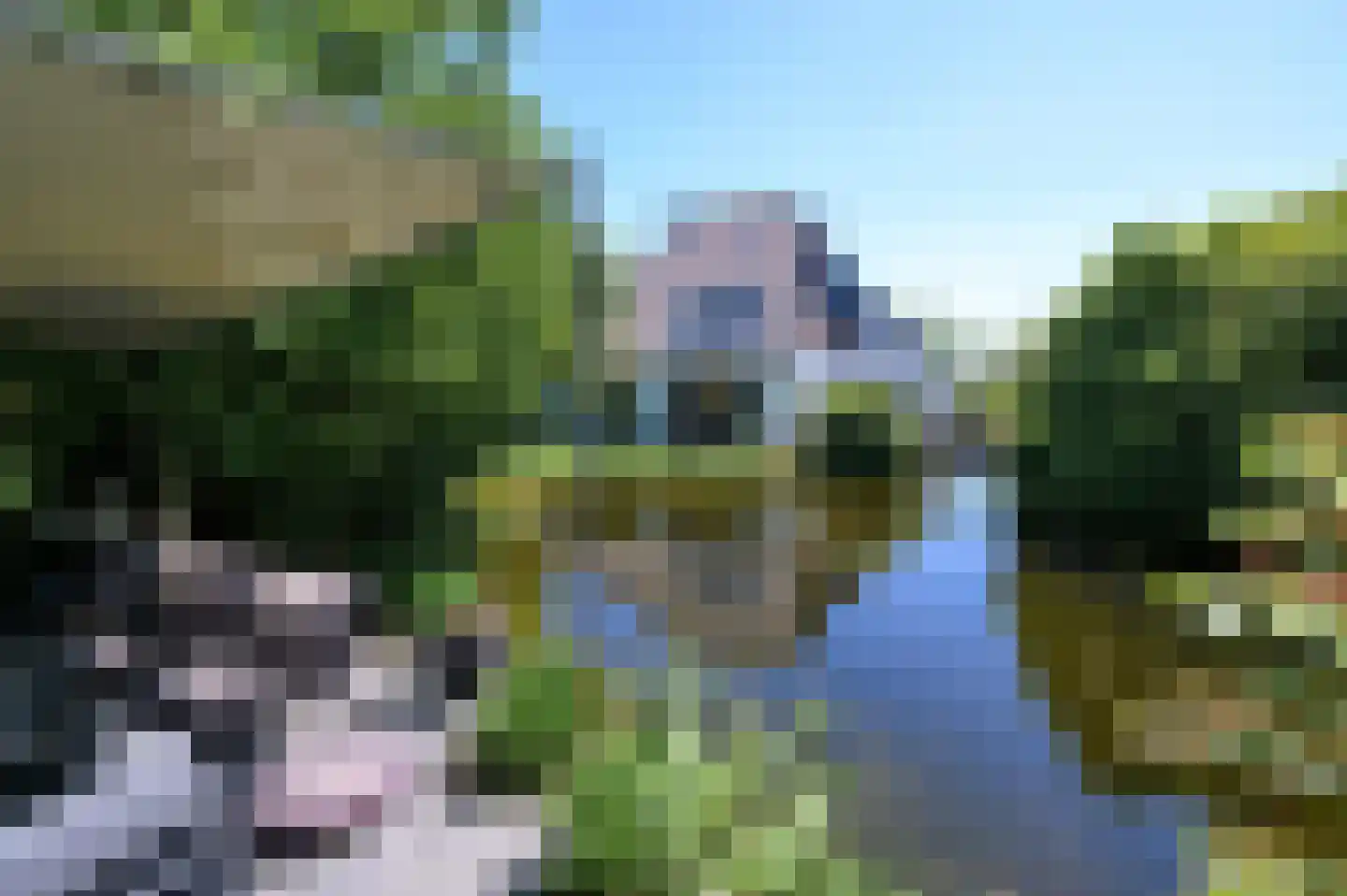 Groene-Woud 3 Sint-Oedenrode thumbnail 69