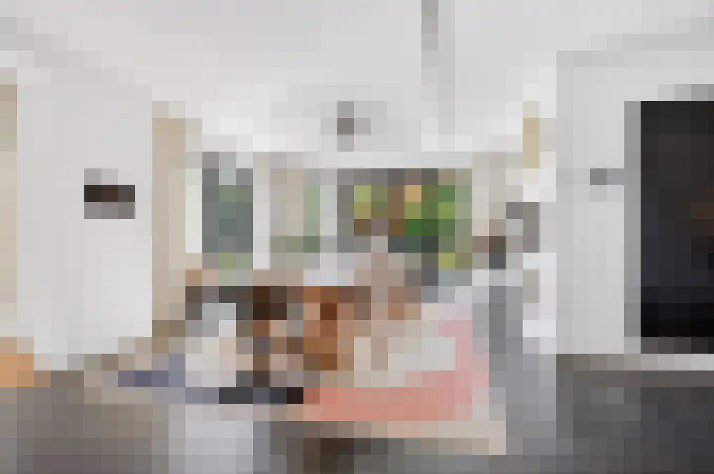 Groene-Woud 3 Sint-Oedenrode thumbnail 7
