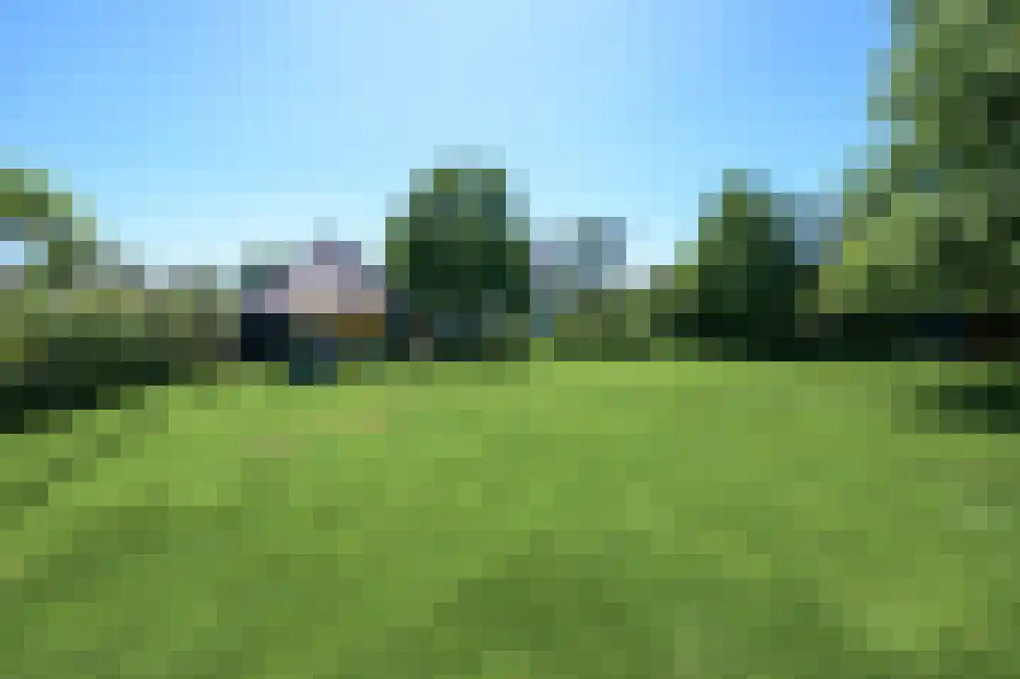 Groene-Woud 3 Sint-Oedenrode thumbnail 71