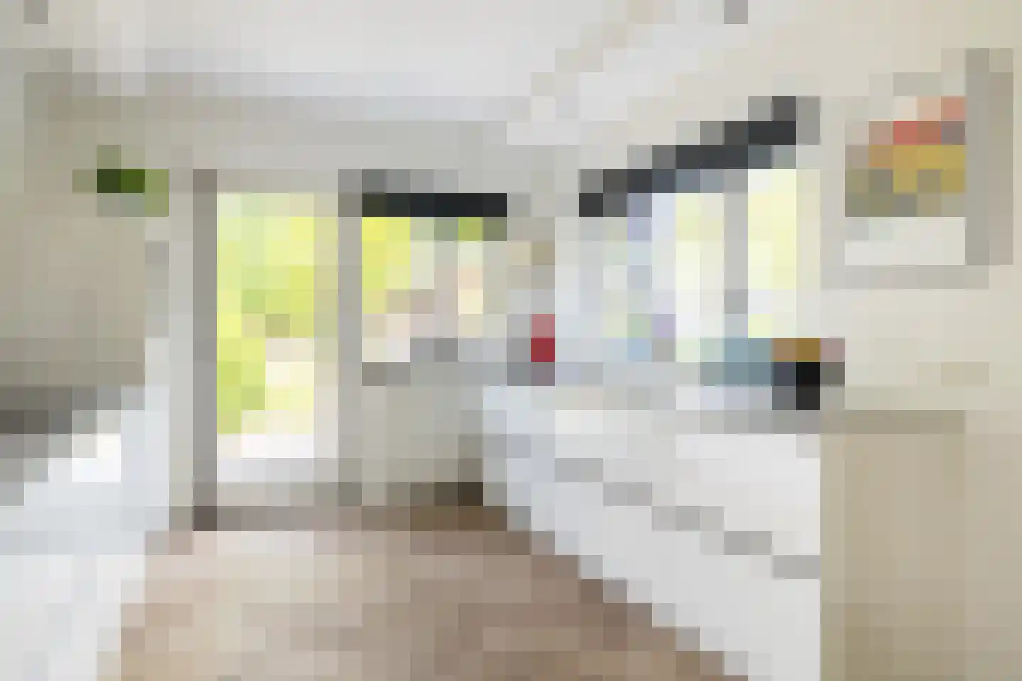 Groene Woud 31 Breda thumbnail 15