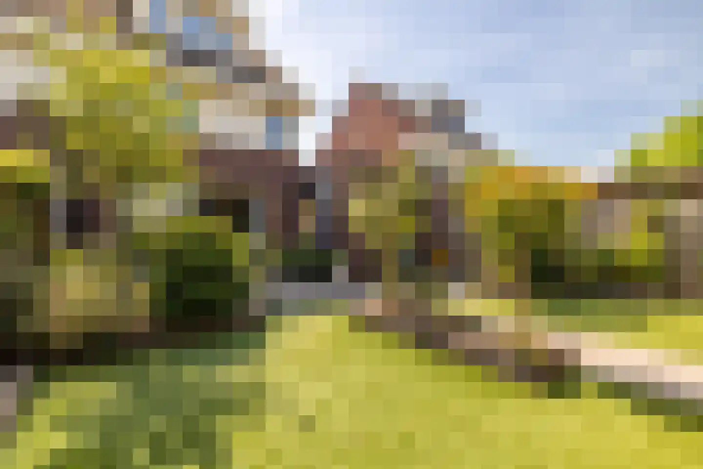 Groene Woud 31 Breda thumbnail 38