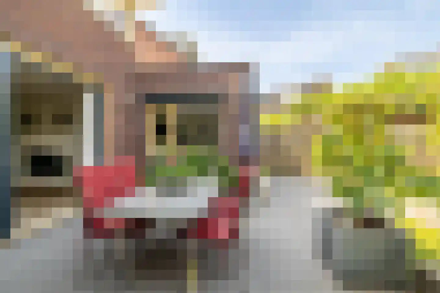 Groene Woud 31 Breda thumbnail 42