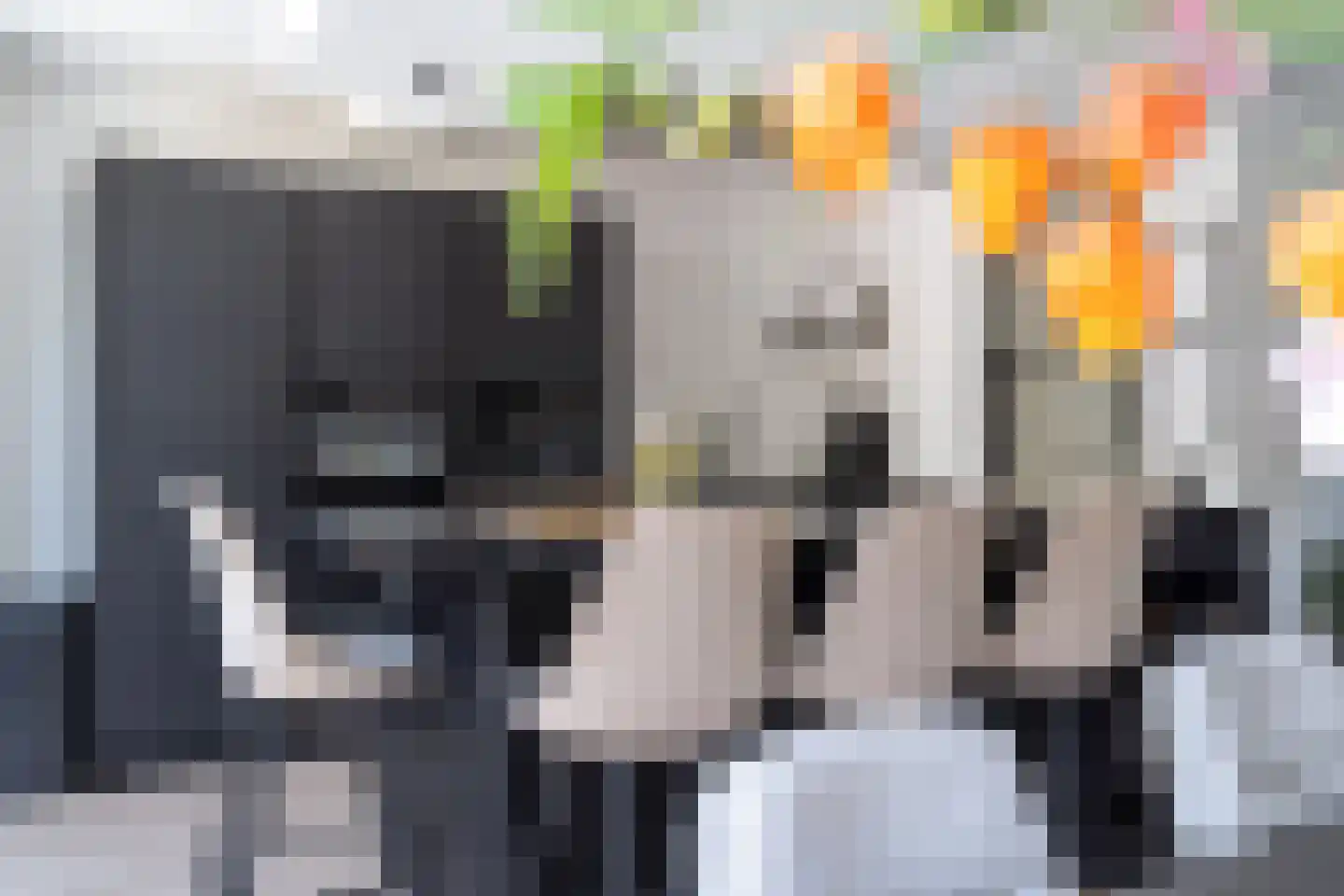 Groene Woud 32 Breda thumbnail 17