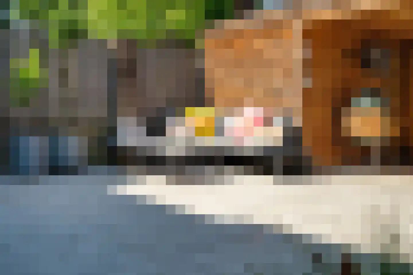Groene Woud 32 Breda thumbnail 47