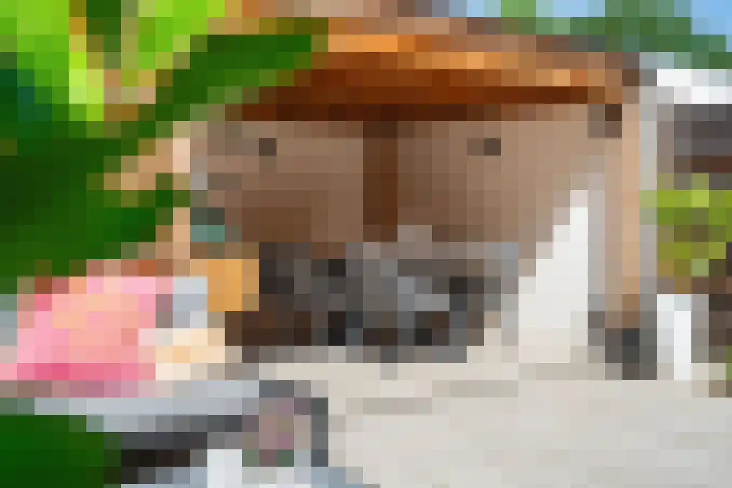 Groene Woud 32 Breda thumbnail 48