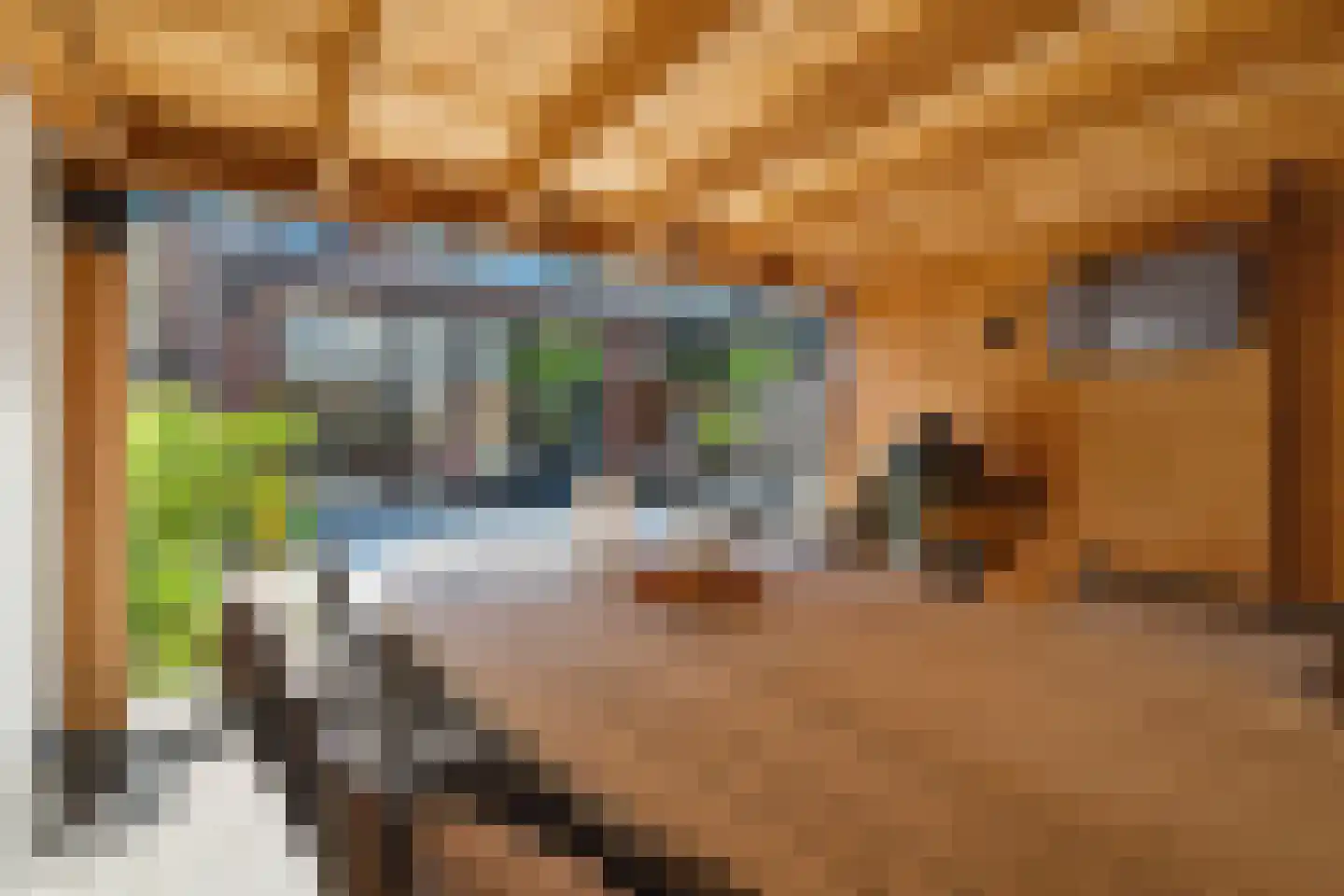 Groene Woud 32 Breda thumbnail 50