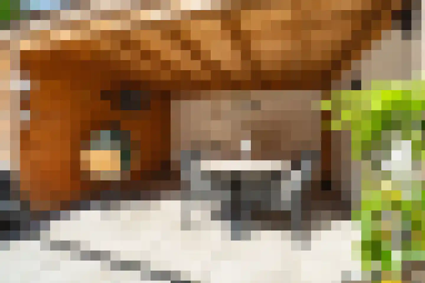 Groene Woud 32 Breda thumbnail 51