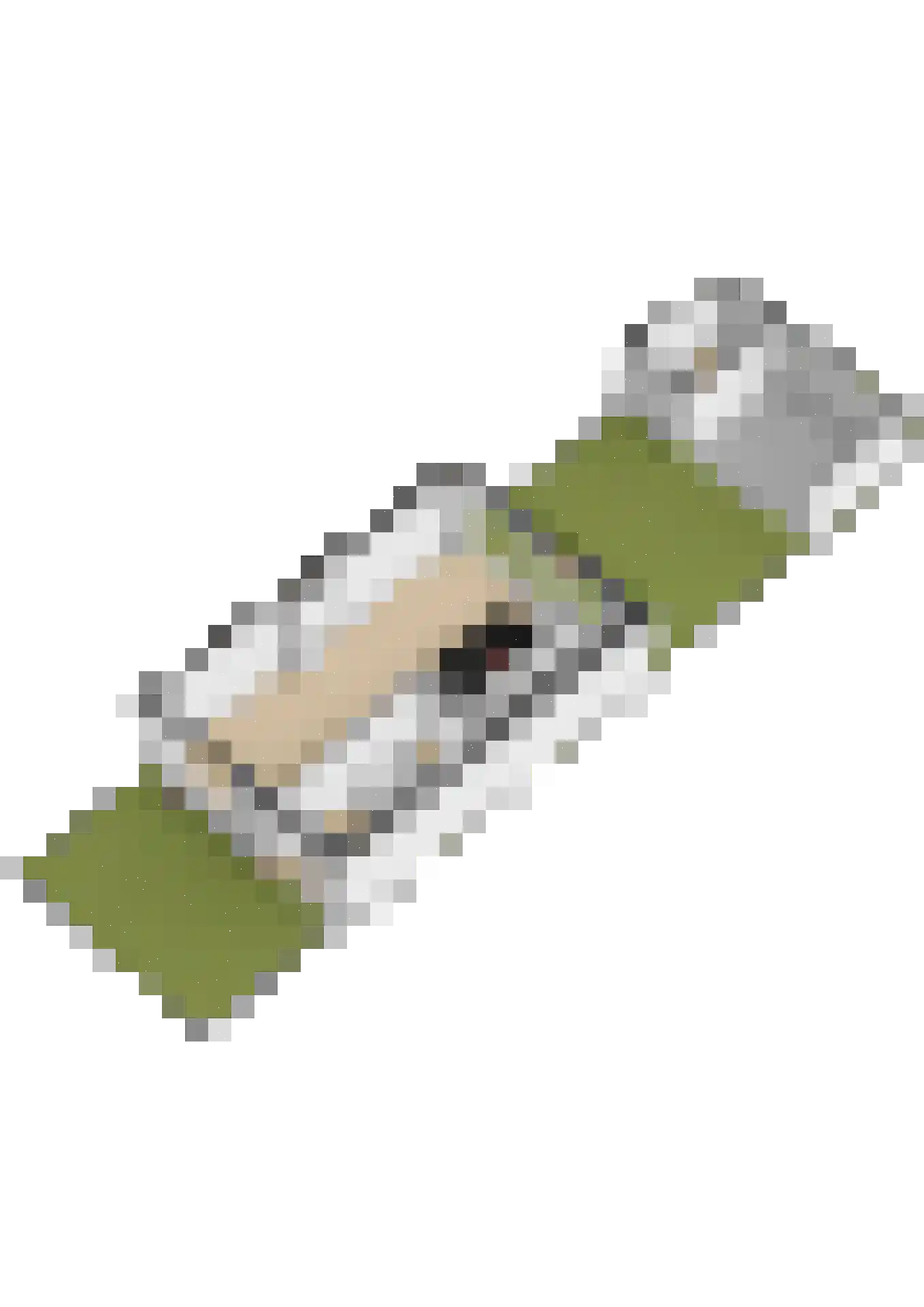 Groene Woud 32 Breda thumbnail 68
