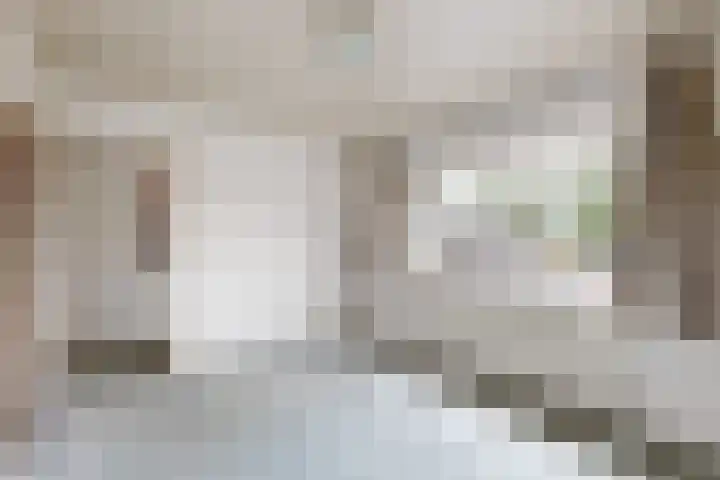 Groene Woud 56 Oudenbosch thumbnail 30