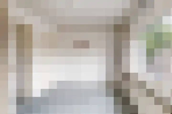 Groene Woud 56 Oudenbosch thumbnail 32