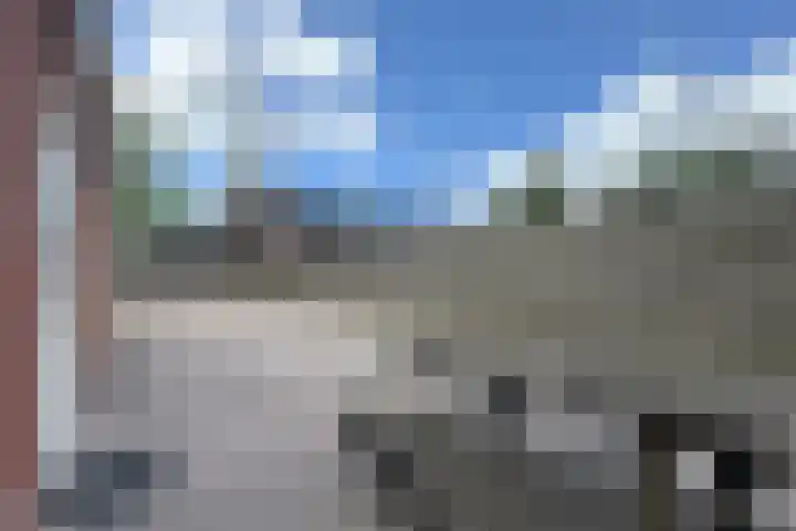 Groene Woud 56 Oudenbosch thumbnail 69