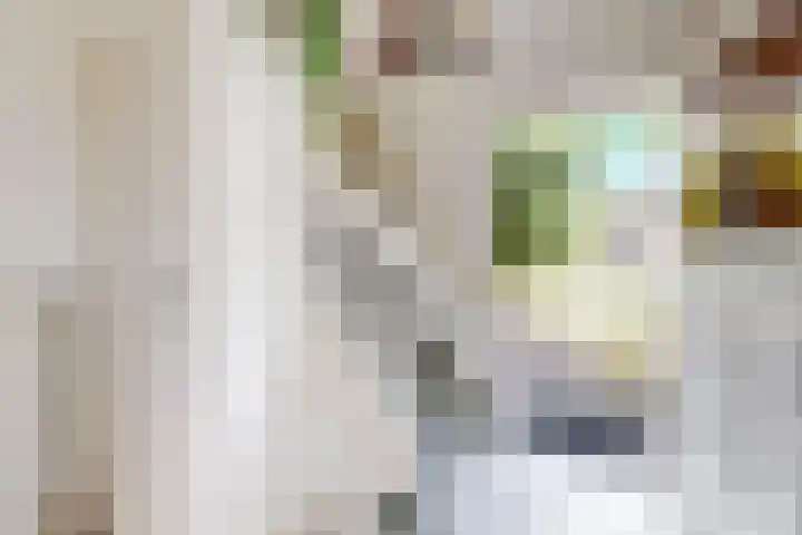 Groene Woud 56 Oudenbosch thumbnail 7