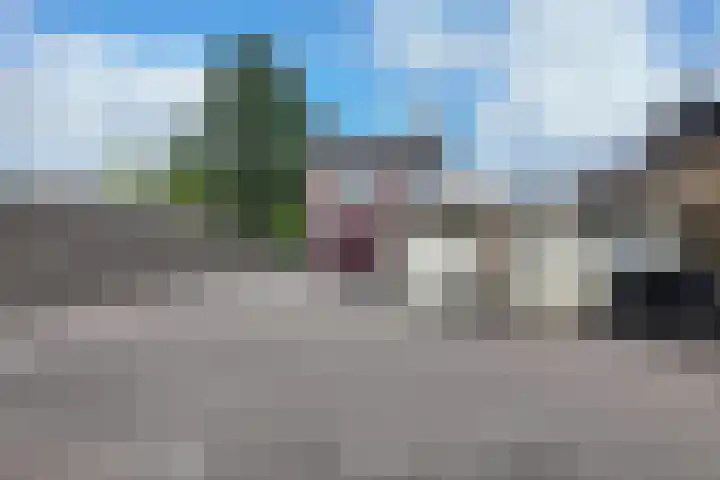 Groene Woud 56 Oudenbosch thumbnail 71