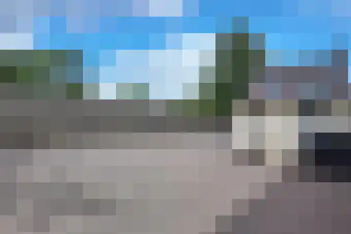 Groene Woud 56 Oudenbosch thumbnail 72