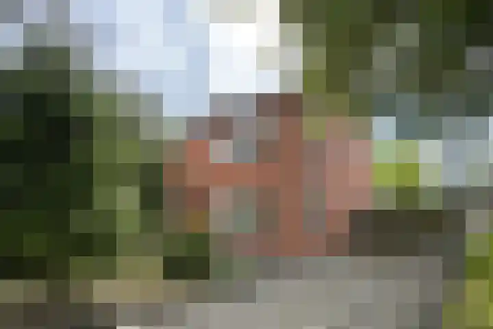 Groene Woud 56 Oudenbosch thumbnail 76