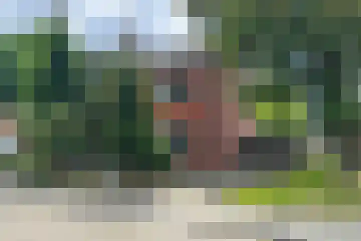 Groene Woud 56 Oudenbosch thumbnail 77