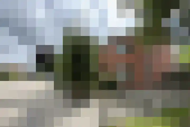 Groene Woud 56 Oudenbosch thumbnail 78