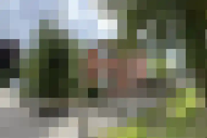 Groene Woud 56 Oudenbosch thumbnail 79