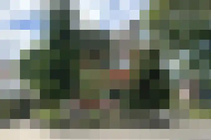 Groene Woud 56 Oudenbosch thumbnail 80