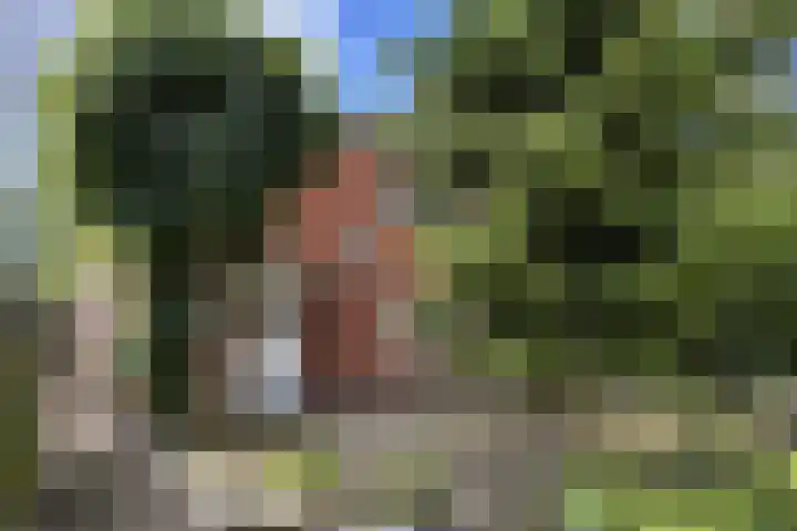 Groene Woud 56 Oudenbosch thumbnail 81