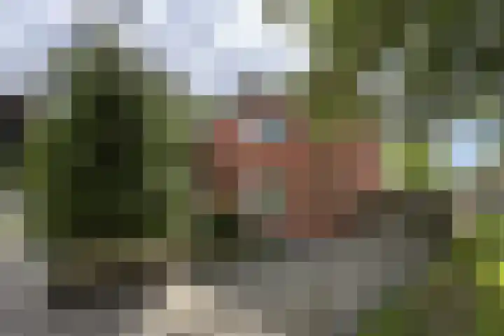 Groene Woud 56 Oudenbosch thumbnail 86