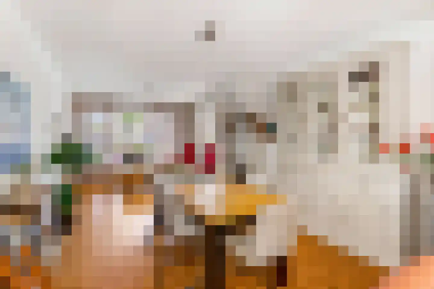 Groene Woud 6 Oudenbosch thumbnail 14