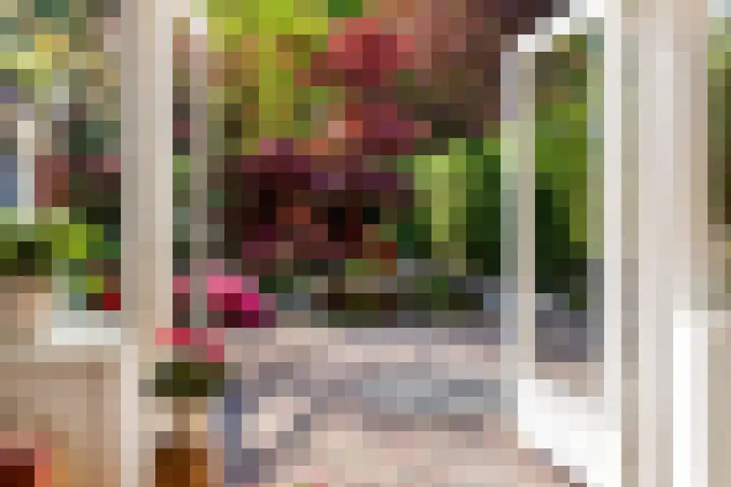 Groene Woud 6 Oudenbosch thumbnail 17