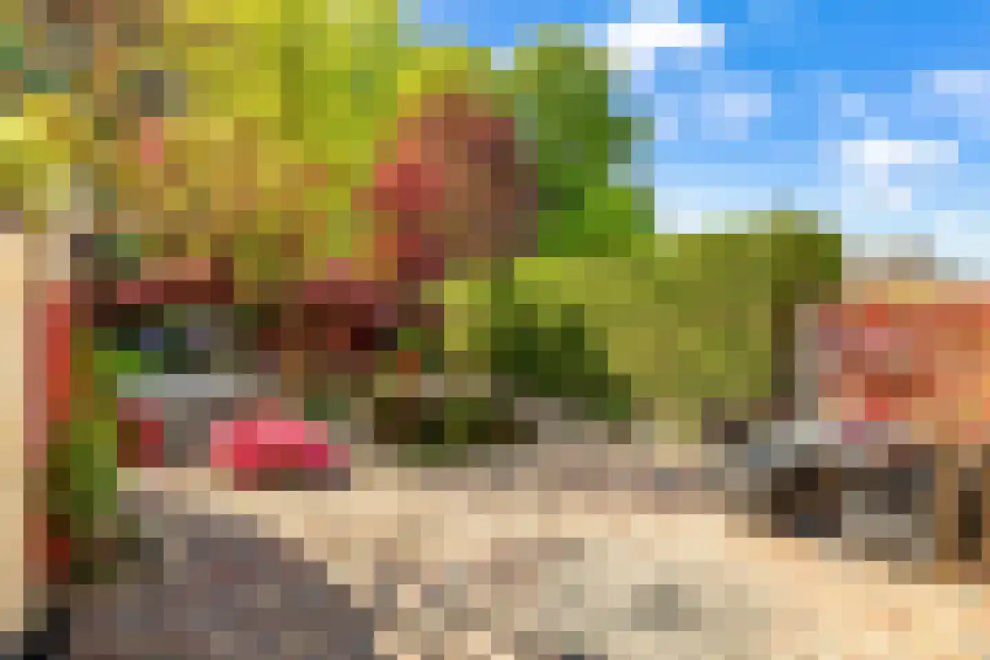 Groene Woud 6 Oudenbosch thumbnail 18