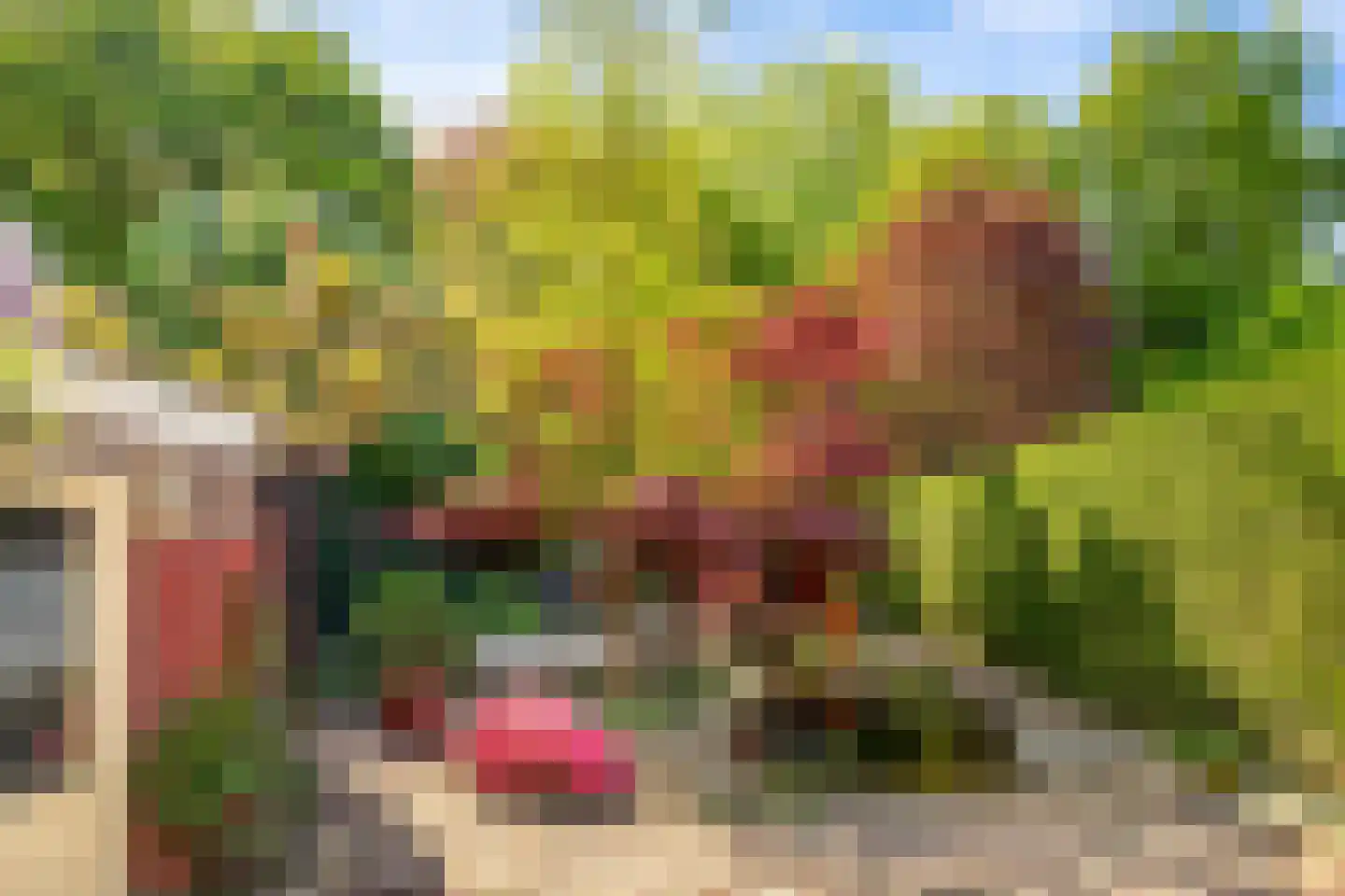 Groene Woud 6 Oudenbosch thumbnail 19