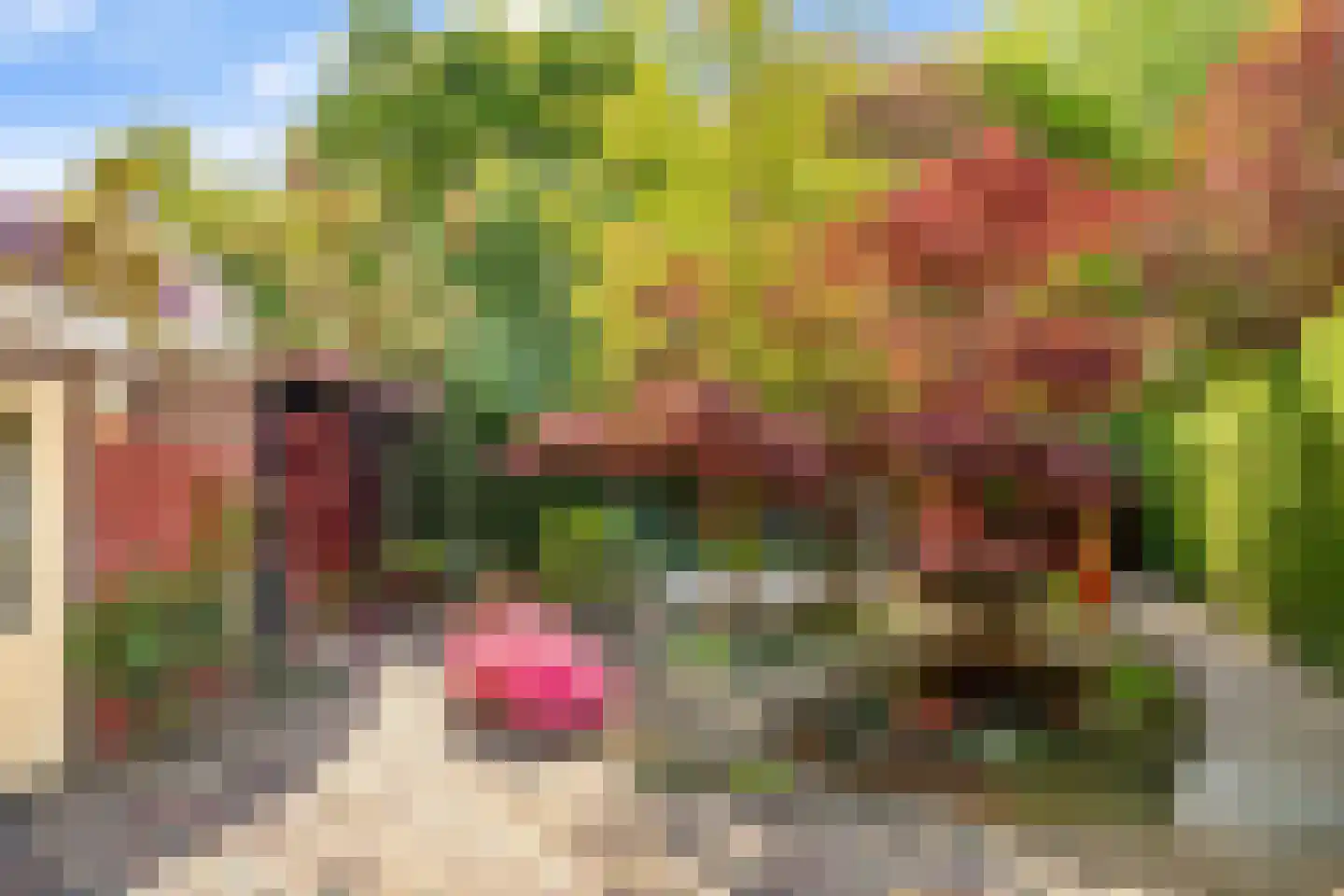 Groene Woud 6 Oudenbosch thumbnail 20
