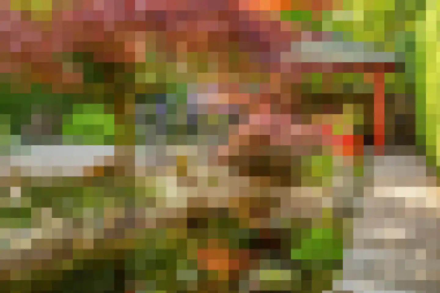 Groene Woud 6 Oudenbosch thumbnail 21