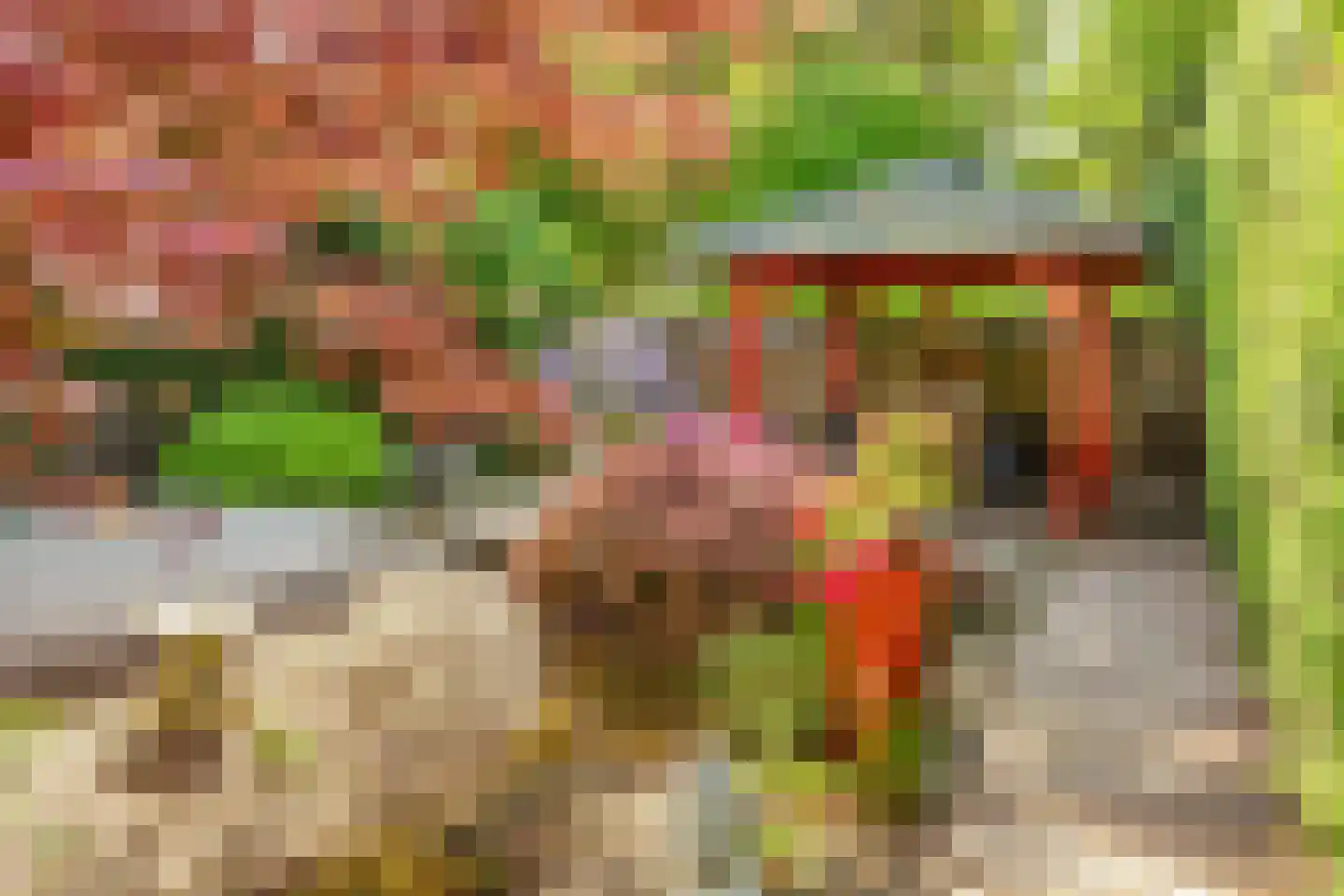 Groene Woud 6 Oudenbosch thumbnail 22