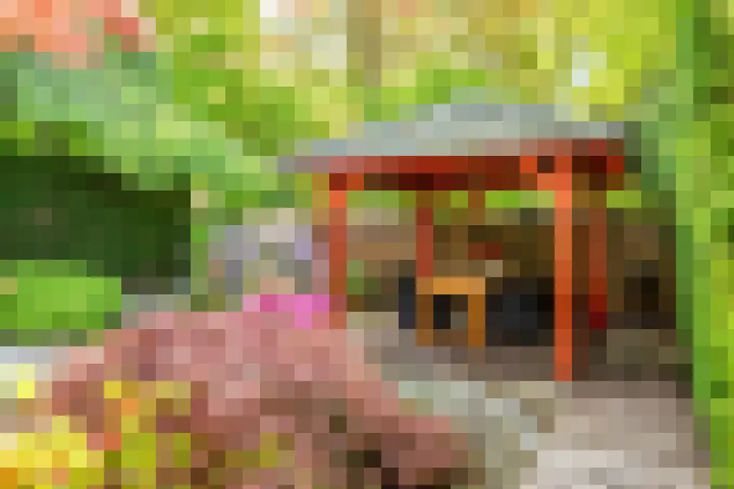 Groene Woud 6 Oudenbosch thumbnail 23