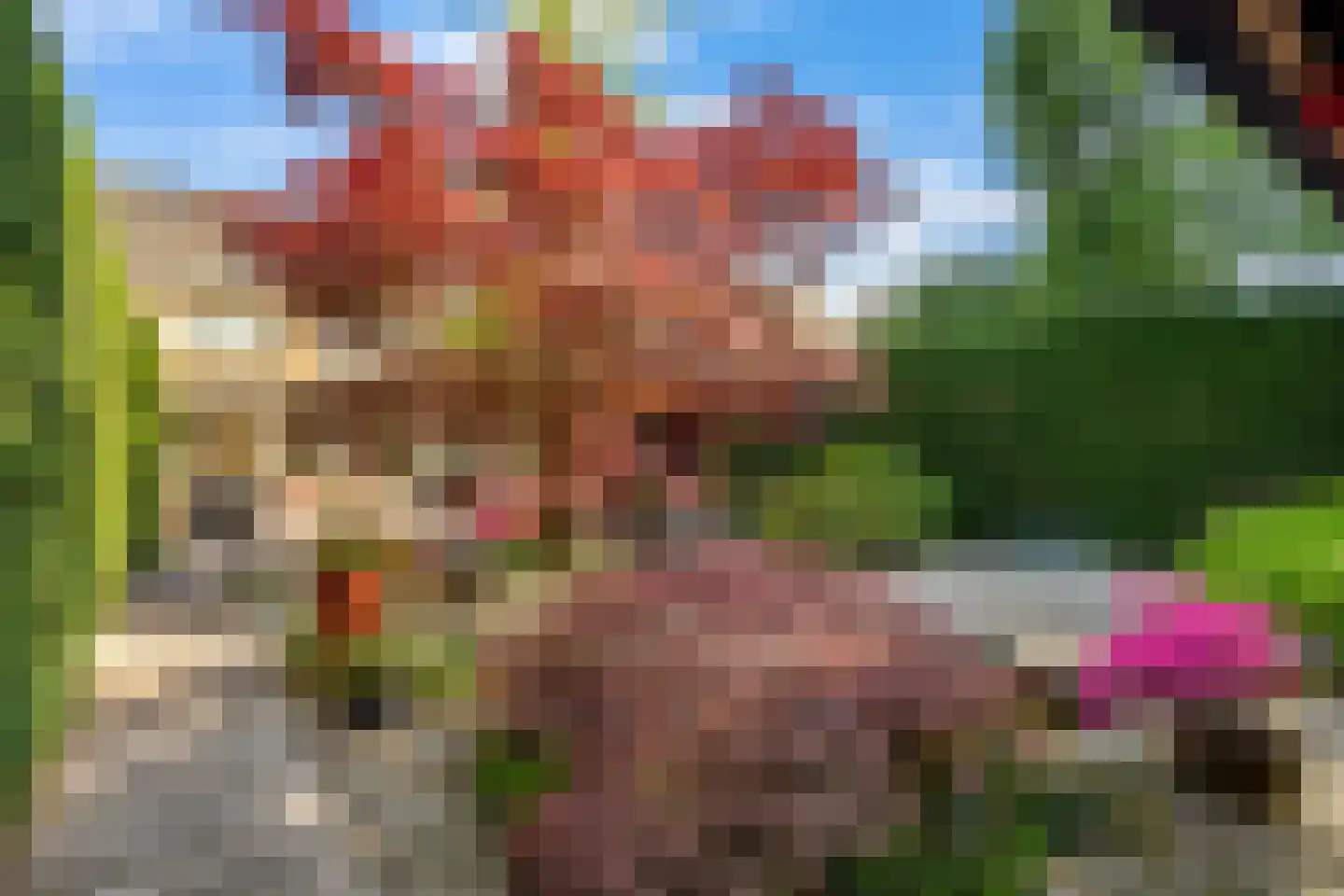 Groene Woud 6 Oudenbosch thumbnail 24